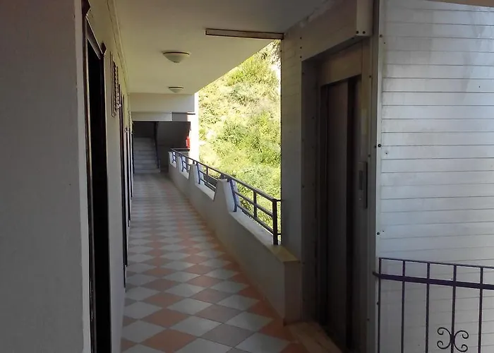 Mor Kusadası