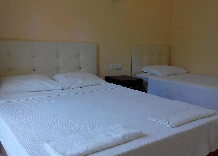 Hotel Mor 3*